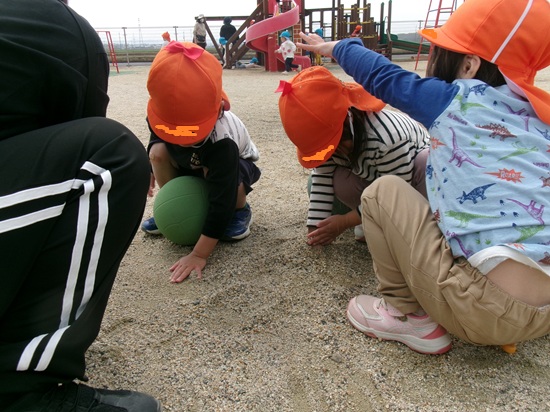 25041101.jpg