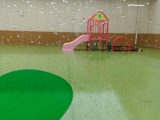 25050202.jpg