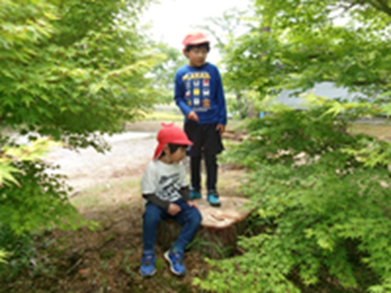 25052607.jpg