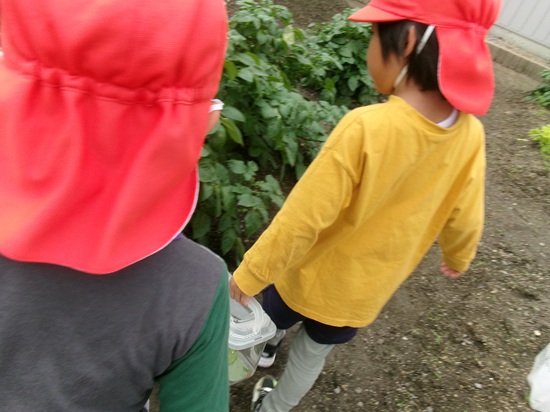 25052704.jpg