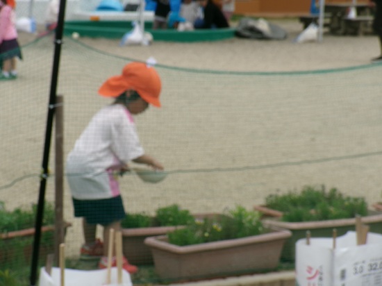 25052710.jpg