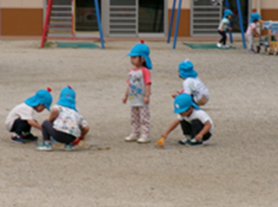 25061203.jpg