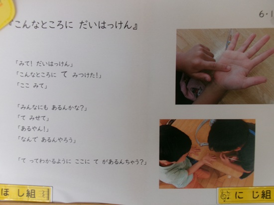 25061305.jpg