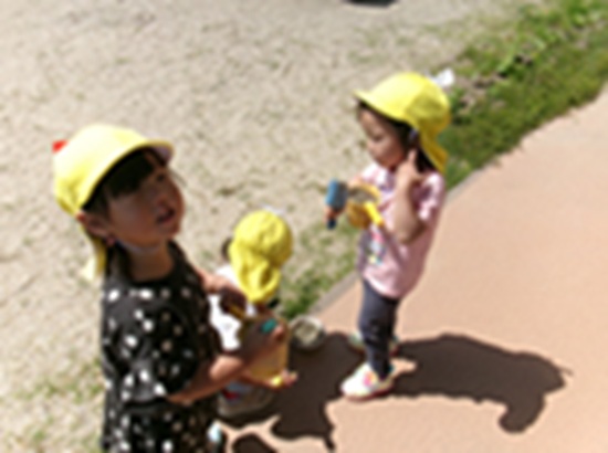 26051103.jpg