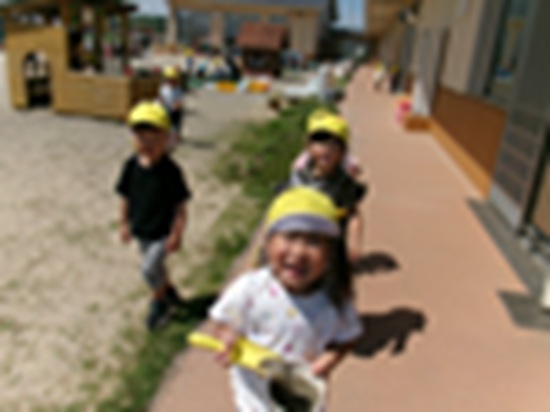 26051105.jpg