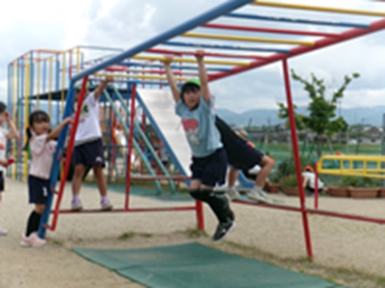 26051208.jpg