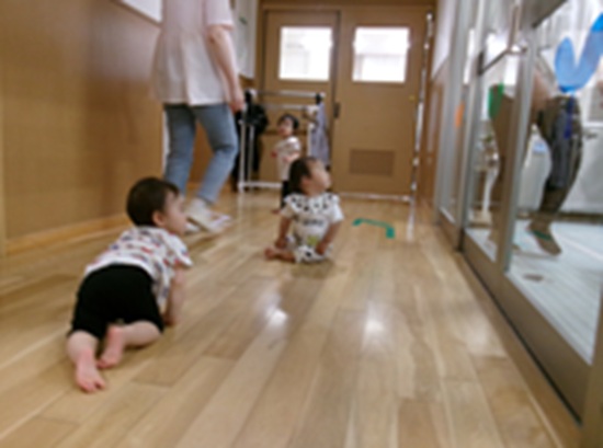 26052106.jpg
