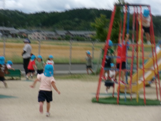26052906.jpg