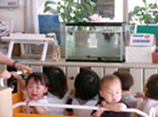26060905.jpg