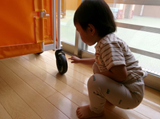 26060907.jpg