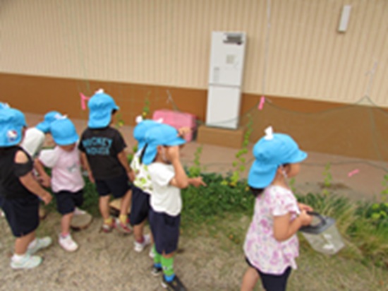 26062201.jpg