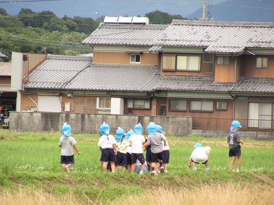 26062203.jpg
