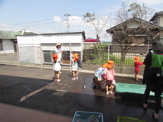 26062906.jpg