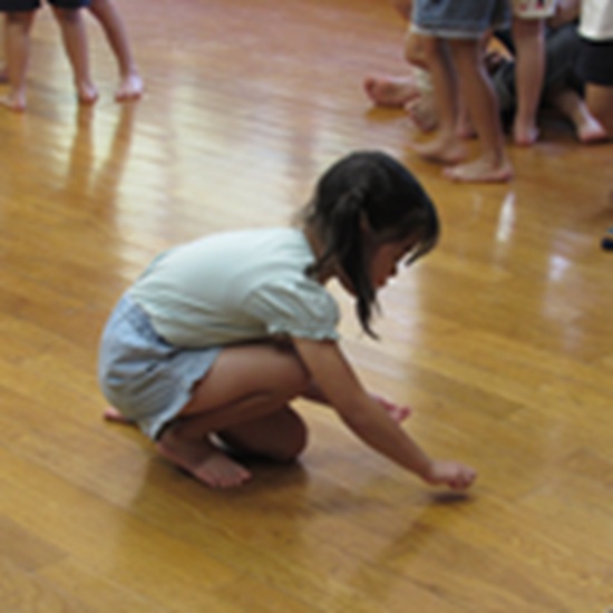26072906.jpg