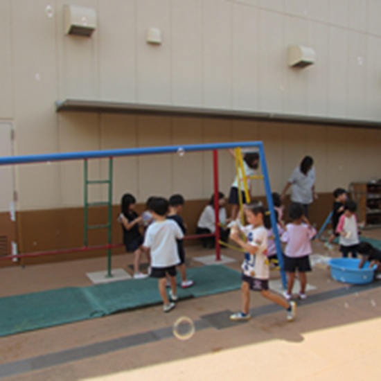 26081004.jpg